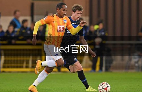 ued官网概况